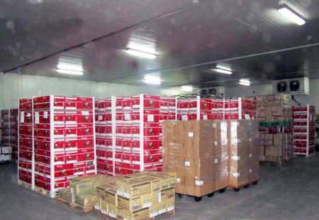 500吨红富士苹果冷库