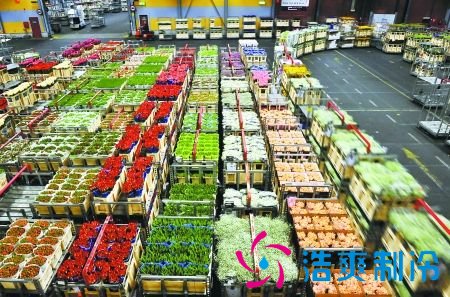 1000立方米鲜花冷库