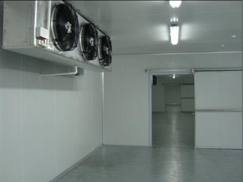 5000吨肉制品冷冻库造价预算,上海建冷库哪家好