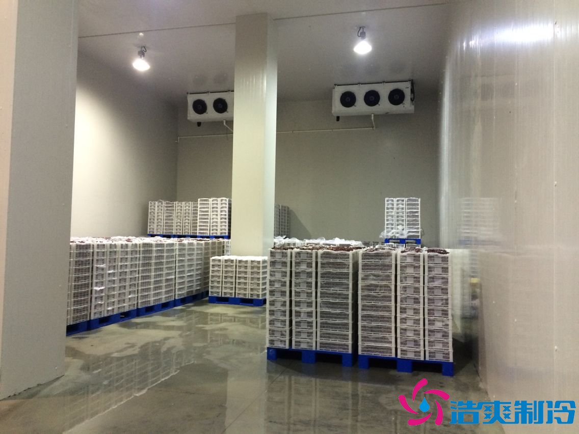 上海建造1000平米啤酒冷库（冷藏库）建设预算多少钱