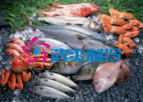 浩爽制冷,海鲜冷冻库、食品冷冻库