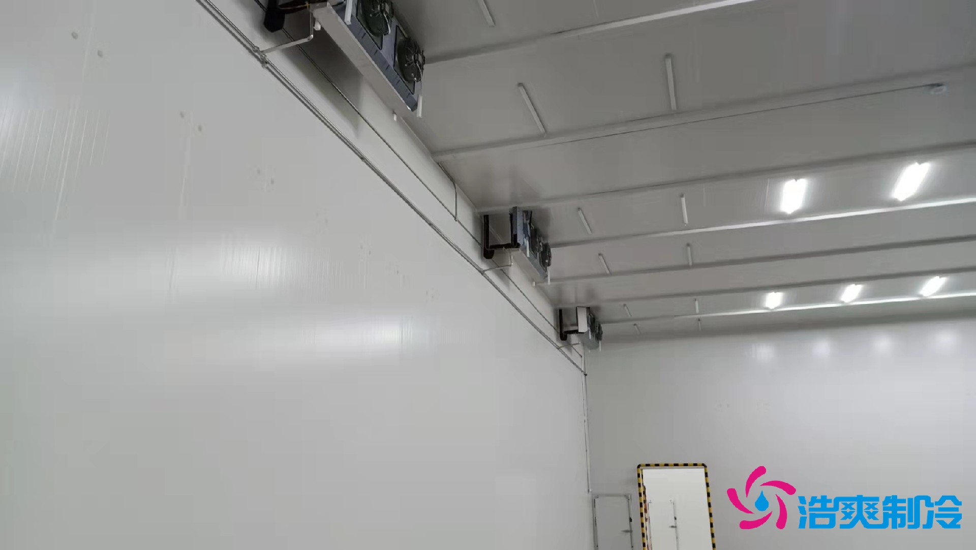 大型医药冷库设计建造方案,医用冷库费用价格是多少？
