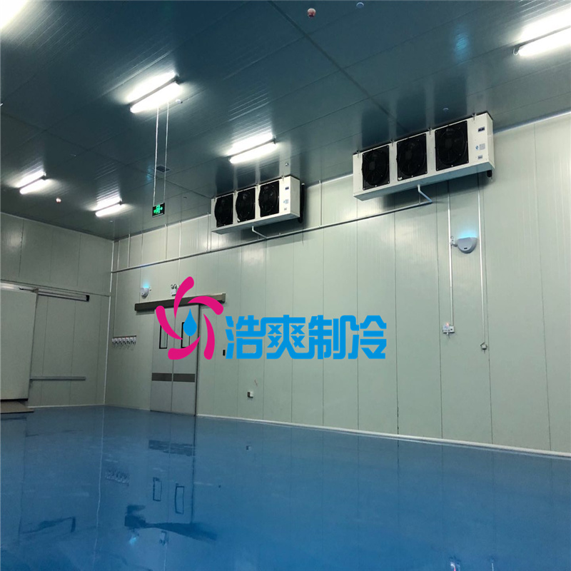 建造大型医疗冷藏库所需要的费用价格是多少？