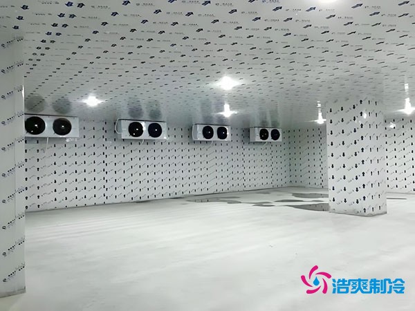 建造200吨冷冻肉低温冷库的造价详解
