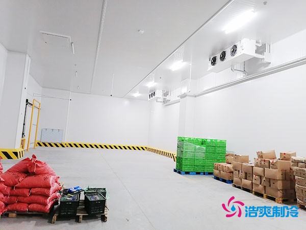 70万建500平果蔬冷库？揭秘气调保鲜关键成本！