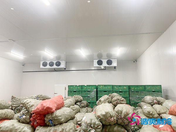 5吨水果需要多大冷库？答案出乎意料！