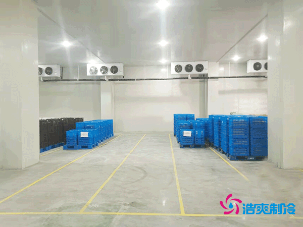 冬瓜保鲜冷库安装造价成本多少钱？