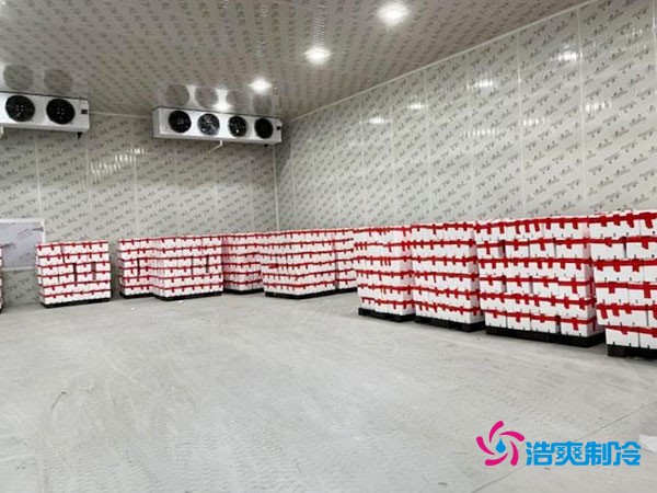 杨梅冷库造价