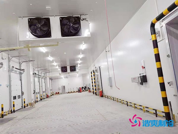 5000平大型冷库建造成本