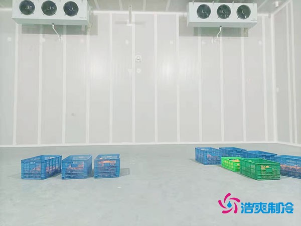 茶叶冻库造价