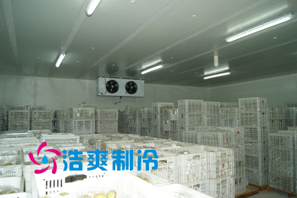 气调库
