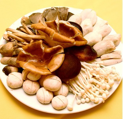 香菇保鲜库