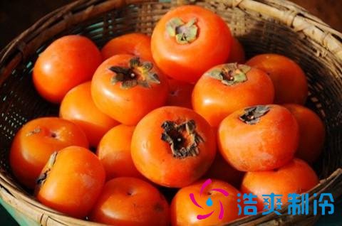 1000吨柿子保鲜库