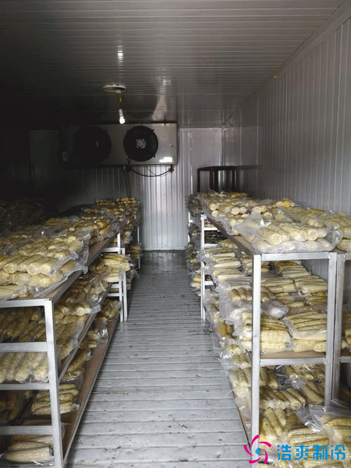 1000吨鲜玉米保鲜库