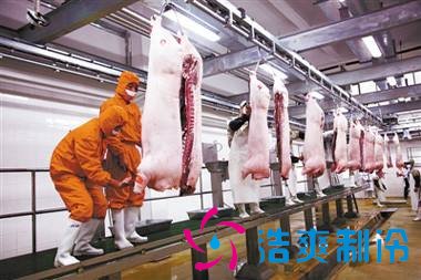 3000立方冻肉冷库设计造价费用是多少?由于国家对冷链物流的重视,冷链物流行业的发展逐渐增长趋势,冷链物流也正在慢慢改变人们的生活。
