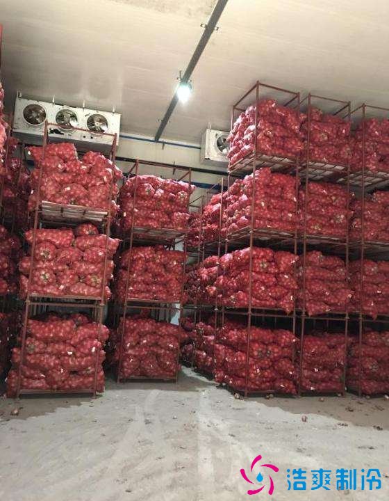 500吨大蒜冷库