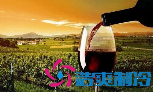 上海12℃恒温红酒冷库