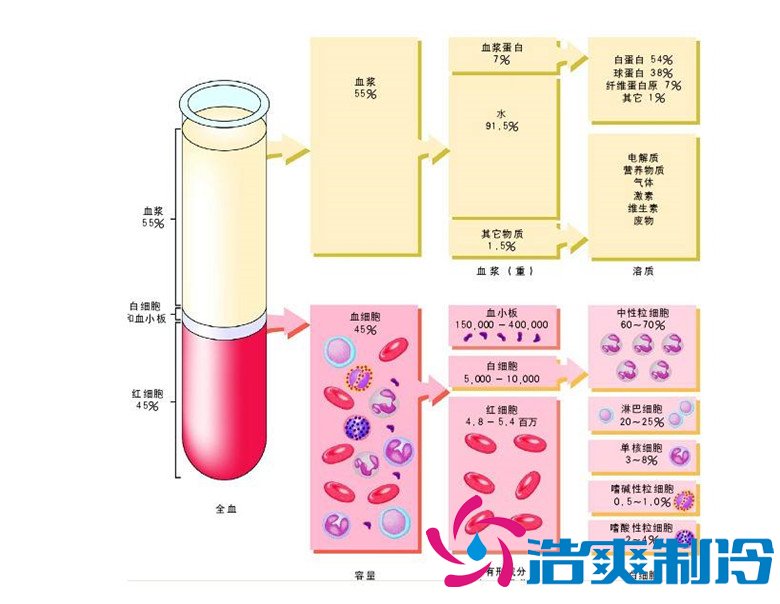 -30℃～-80℃血浆蛋白低温冷冻库规范，冷库安装价格